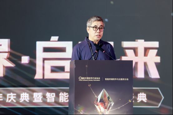 中国软件行业协会常务副秘书长陈宝国发表主旨演讲，神情庄重
