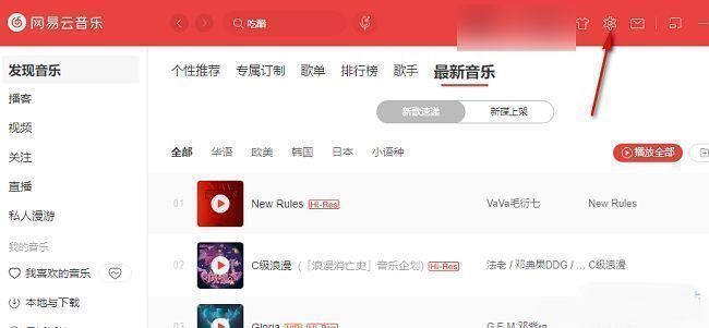 网易云音乐主界面右上角的齿轮设置图标特写