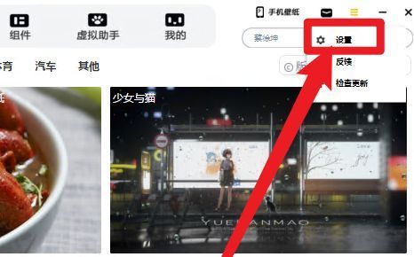设置选项在侧边栏底部被选中，界面清晰展示功能入口