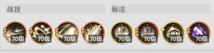 骑士主C技能配置图，技能顺序清晰，强调狮子连击与超重击的输出链