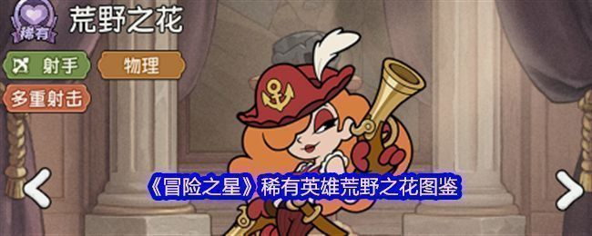 荒野之花英雄立绘，身穿西部风格战斗服，手持双枪，眼神锐利，背景为荒漠与夕阳