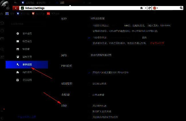 设置页面左侧为导航栏，右侧显示“更多设置”下的“其他”选项区，界面布局清晰