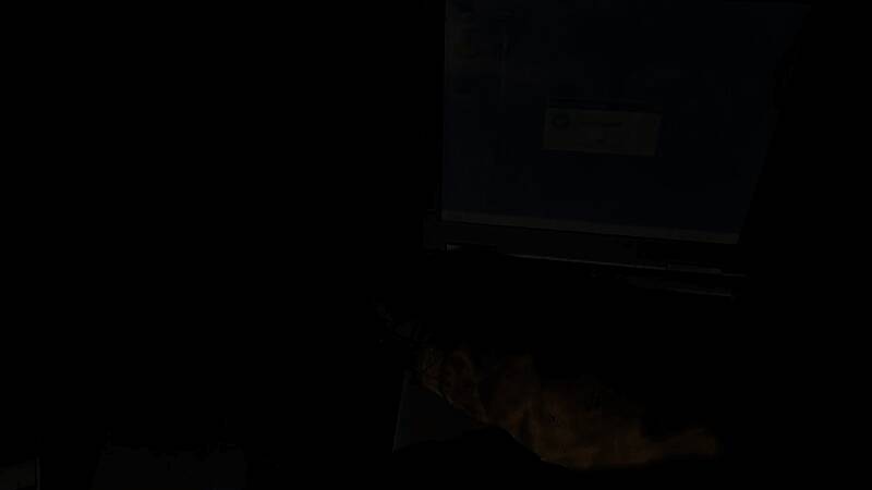 变异生物在废墟中游荡，外形扭曲恐怖，周围弥漫绿色辐射雾