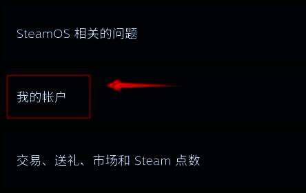 账户相关数据页面中‘您Steam账户的相关数据’入口截图