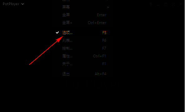 PotPlayer右键菜单中选择选项进入设置界面