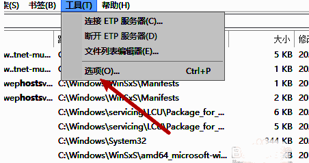 Everything选项菜单列表，其中‘选项’被选中，准备进入设置界面