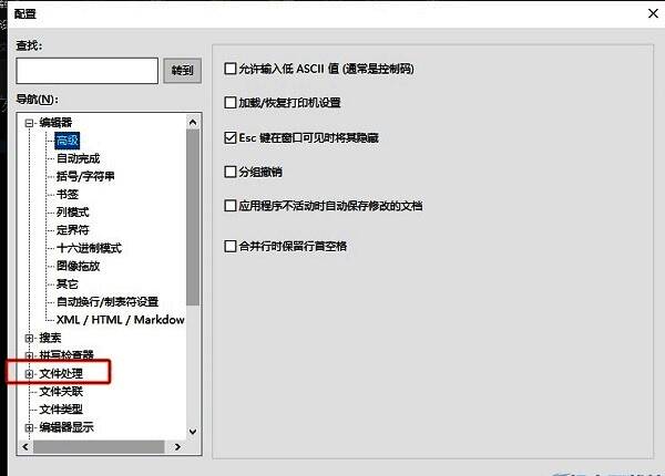 配置窗口左侧栏显示‘文件处理’已选中，右侧对应展开其子选项
