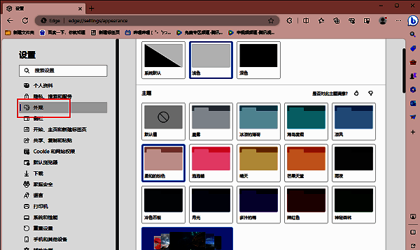 Edge设置页面左侧栏中，外观选项被高亮选中