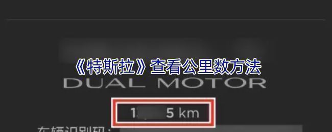 特斯拉App车辆概况页面截图，显示VIN码上方清晰标注总里程信息
