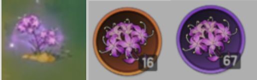 山之国食材图鉴界面，展示绿洲之星与绿洲新星的图标及品质等级