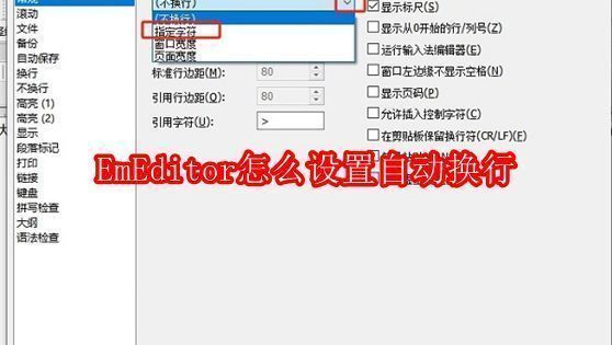 EmEditor软件界面展示文本编辑场景，界面整洁，突出自动换行功能的使用环境