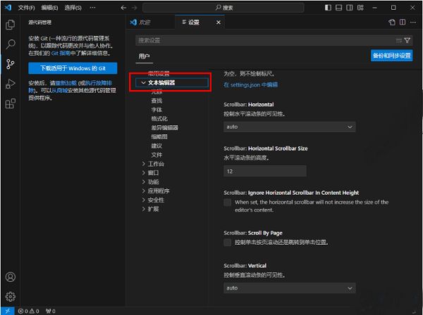 Vscode左侧设置栏中“文本编辑器”被点击后的界面展示