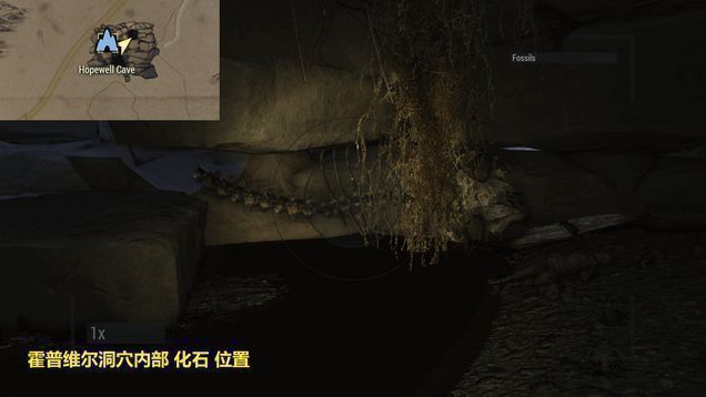 霍普维尔洞穴内部石壁裂缝中嵌入的古老化石，周围布满荧光苔藓