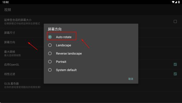 gba模拟器屏幕方向设置为Auto rotate的界面截图，指示已成功选择自动旋转