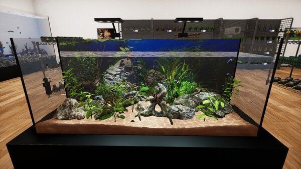 店内货架陈列整齐，各种鱼类在水箱中游动，标签标明价格与品种信息