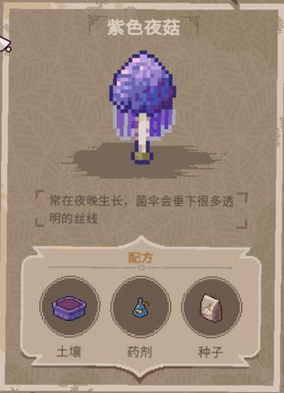 幼苗对比图，左侧为普通花苗，右侧为特殊植物幼苗，形态差异明显