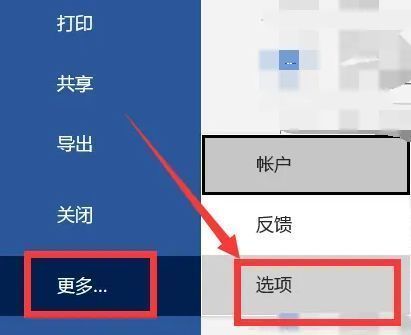 Word设置界面，左侧显示更多选项，右侧显示选项按钮被点击