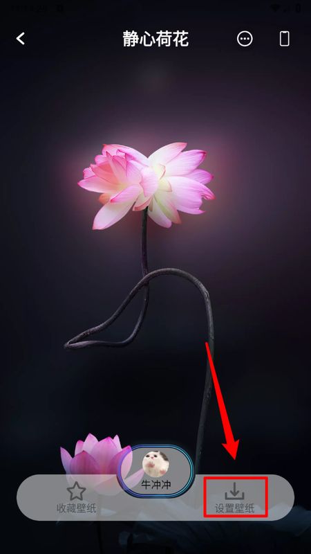 壁纸预览页面底部显示‘设置壁纸’按钮的界面截图