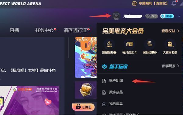 用户点击右上角用户名进入账户明细选项的操作界面截图