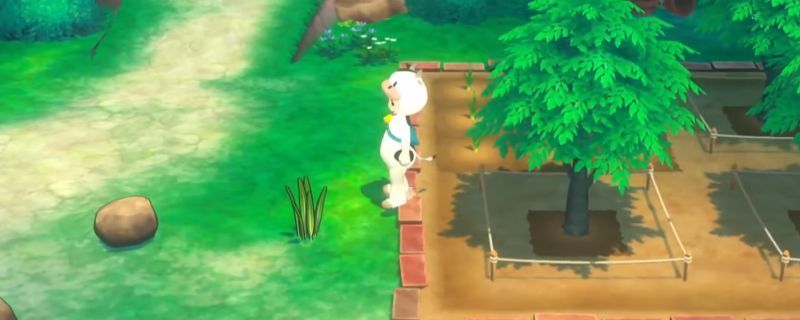 《牧场物语 来吧！风之繁华集市》中玩家经营农场的画面，背景为风车与农田，角色站在加工房前准备制作年糕