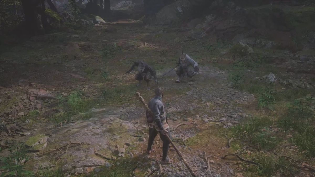 森林场景中阳光透过树叶洒落，画面光影细腻，氛围感十足