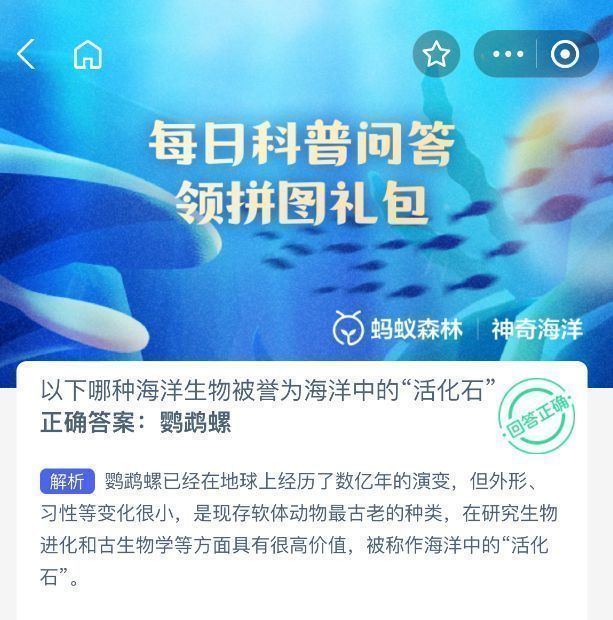 鹦鹉螺解剖结构示意图，展示其螺旋外壳内部的多个气室及软体部分，标注了科学分类信息