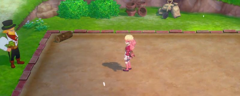 《牧场物语 来吧！风之繁华集市》中主角站在田地旁准备耕种的画面，背景为阳光明媚的农场，工具整齐摆放