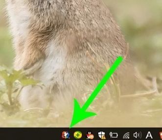 青鸟壁纸软件主界面展示，桌面显示精美风景壁纸，软件窗口清晰可见