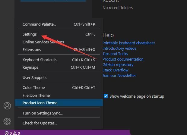 VSCode左下角齿轮图标点击后进入设置页面的操作示意图