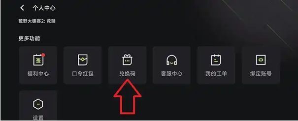 个人中心页面中兑换码选项高亮显示，按钮颜色醒目