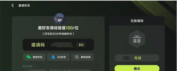 兑换码输入界面，输入框内已填写示例兑换码，下方为确定按钮