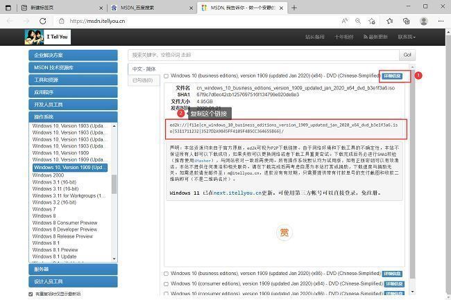 MSDN网站Windows 10系统下载界面，列出不同版本的ISO镜像