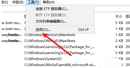 Everything工具菜单中‘选项’按钮被选中，光标悬停于下拉菜单