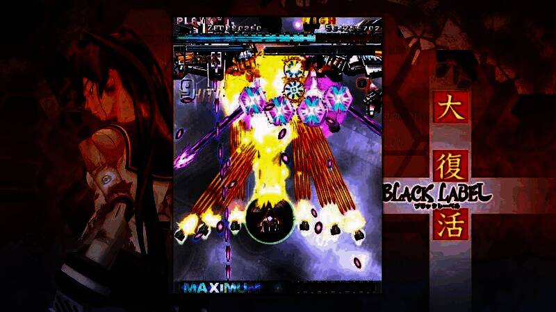 《怒首领蜂最大往生》Switch版游戏封面，红色战机在密集弹幕中穿梭，背景为爆炸火光与敌方Boss巨舰