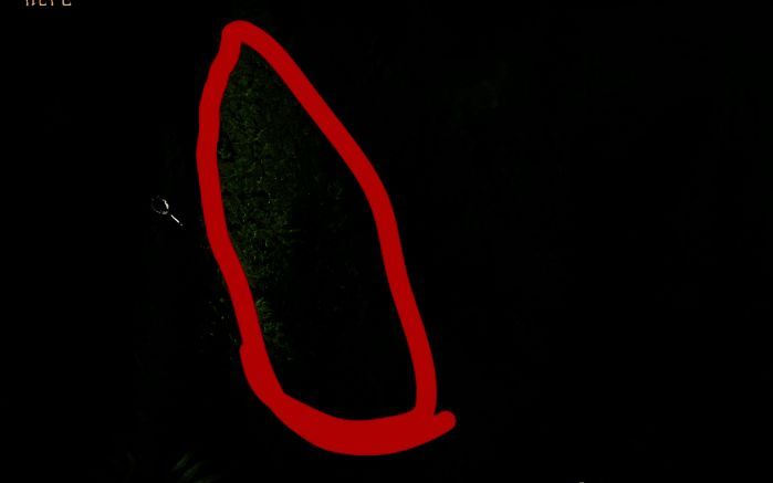 近距离展示发光树木的细节，树干泛起蓝色光芒，周围地面隐约可见草本植物