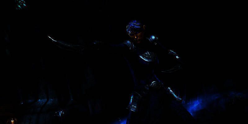 《上古卷轴OL》中新同伴Tanlorin的角色立绘，身穿轻甲，面容中性，眼神坚定地望向远方