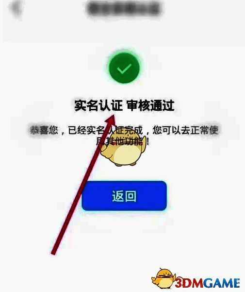 实名认证成功后的页面展示，显示已通过认证的状态标识