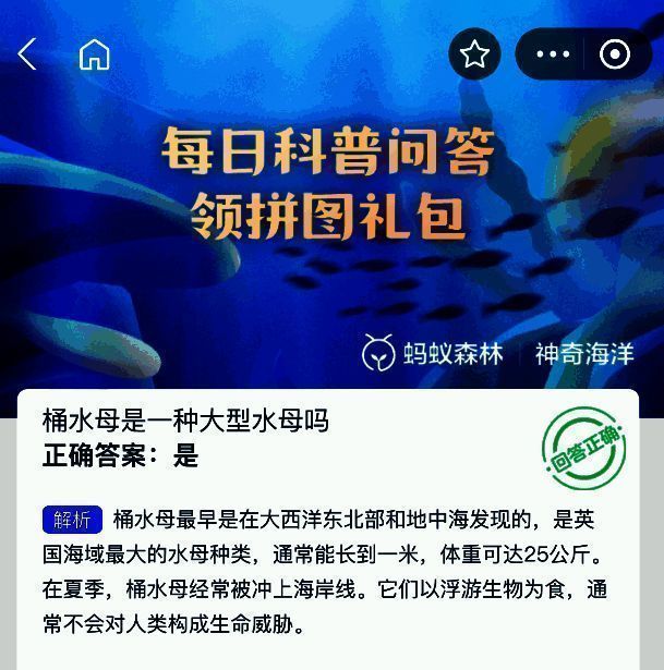 桶水母实物图，呈现其圆桶状透明躯体与下垂触手，漂浮于海水中