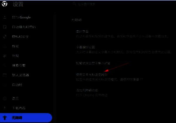 无障碍设置页面中‘使用文本光标浏览网页’选项已开启，按钮呈蓝色