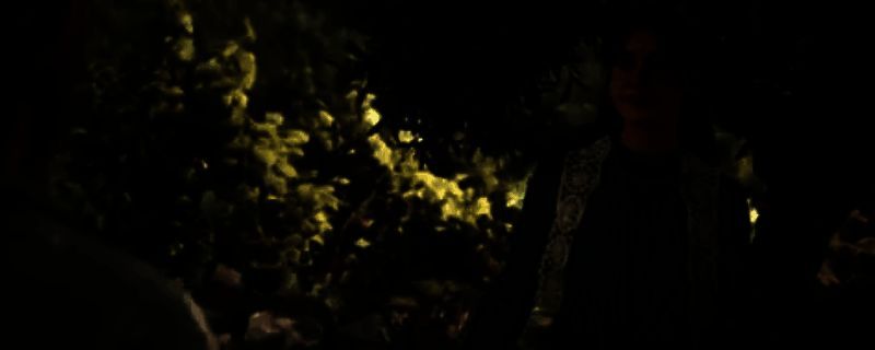 《四海兄弟：故乡》中主角与伊莎贝拉在花园中秘密会面的场景，两人站在绿植环绕的小径旁，氛围神秘而紧张