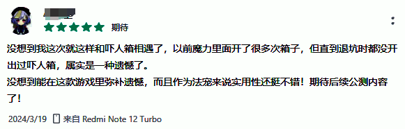 游戏战斗场景截图，角色与宠物协同释放技能，画面特效华丽，回合制战斗节奏清晰