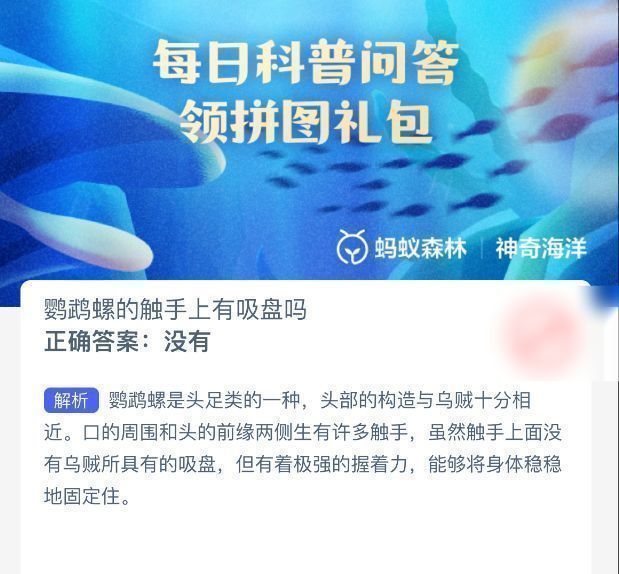 神奇海洋答题结果页面显示正确答案为‘没有’，并配有鹦鹉螺触手特写示意图