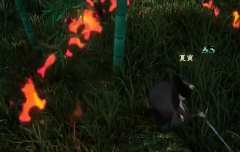 玩家与夏寅激烈对决，剑光交错，背景特效炫目