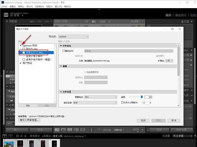 Lightroom导出设置界面示意图