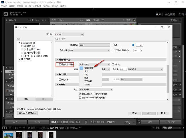调整图像大小选项示意图