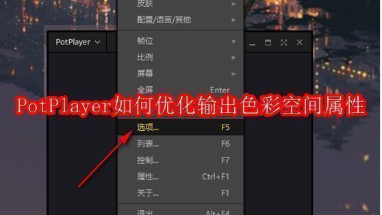 PotPlayer主界面右键菜单选项展示