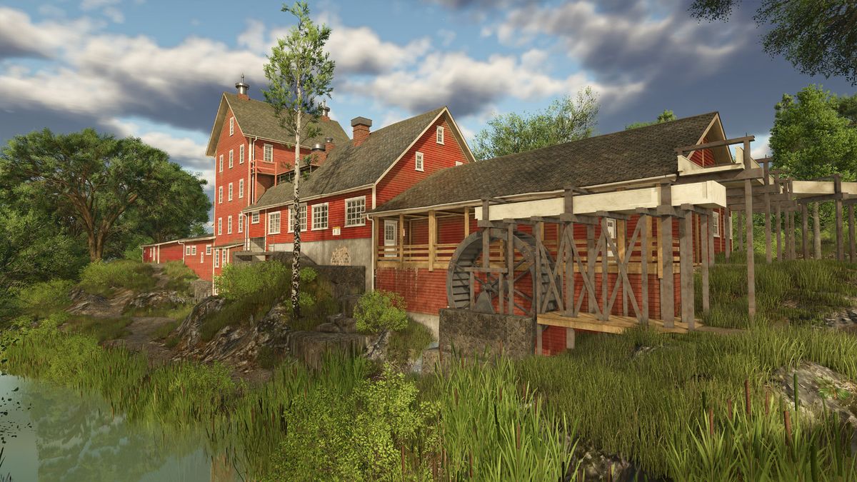 农场中饲养的山羊和水牛，场景温馨自然