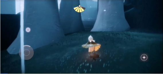 树洞内部视角，光线透过树干缝隙洒落