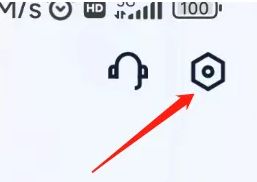 设置菜单界面展示，重点突出隐私设置选项位置