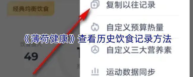 薄荷健康APP界面展示，底部有十字加号与设置图标